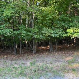 Photo #3 of 22 Woodshire Drive, Blue Ridge, VA 5.1 acres