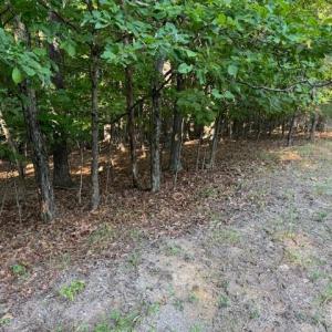 Photo #8 of 22 Woodshire Drive, Blue Ridge, VA 5.1 acres