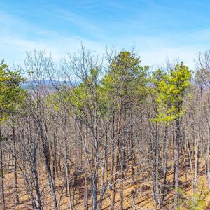 Photo #29 of Larkin Mountain, Amherst, VA 20.4 acres