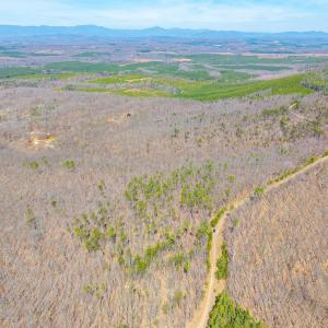 Photo #24 of Larkin Mountain, Amherst, VA 20.4 acres