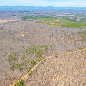 Photo #23 of Larkin Mountain, Amherst, VA 20.4 acres