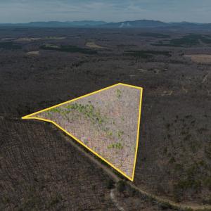 Photo #3 of Larkin Mountain, Amherst, VA 20.4 acres