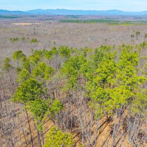 Photo #32 of Larkin Mountain, Amherst, VA 20.4 acres