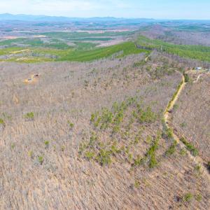 Photo #25 of Larkin Mountain, Amherst, VA 20.4 acres