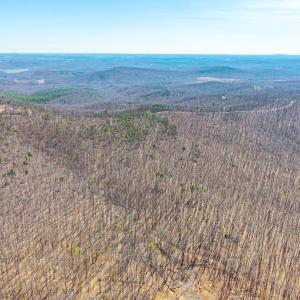 Photo #15 of Larkin Mountain, Amherst, VA 20.4 acres