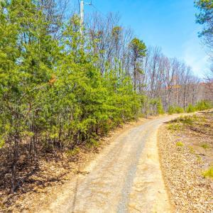 Photo #27 of Larkin Mountain, Amherst, VA 20.4 acres