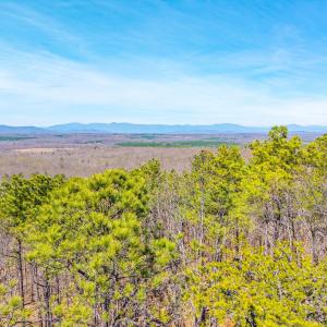 Photo #30 of Larkin Mountain, Amherst, VA 20.4 acres