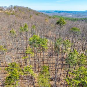 Photo #35 of Larkin Mountain, Amherst, VA 20.4 acres