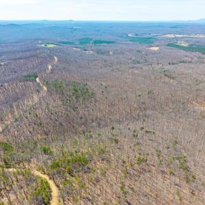 Photo #18 of Larkin Mountain, Amherst, VA 20.4 acres