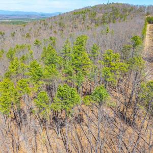 Photo #33 of Larkin Mountain, Amherst, VA 20.4 acres