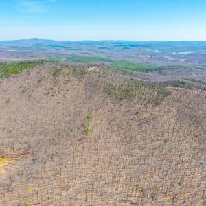 Photo #12 of Larkin Mountain, Amherst, VA 20.4 acres