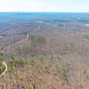 Photo #2 of Larkin Mountain, Amherst, VA 20.4 acres