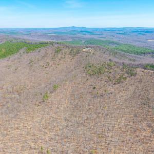 Photo #10 of Larkin Mountain, Amherst, VA 20.4 acres