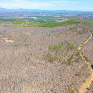 Photo #5 of Larkin Mountain, Amherst, VA 20.4 acres