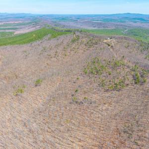 Photo #8 of Larkin Mountain, Amherst, VA 20.4 acres