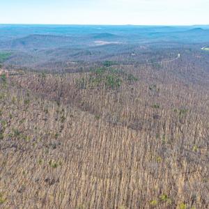 Photo #17 of Larkin Mountain, Amherst, VA 20.4 acres