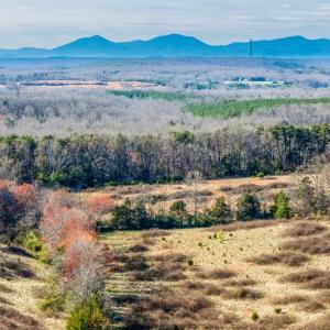 Photo #17 of 58 Wards Road, Evington, VA 47.4 acres