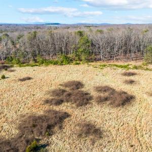 Photo #11 of 58 Wards Road, Evington, VA 47.4 acres