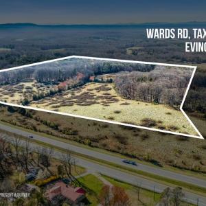 Photo #18 of 58 Wards Road, Evington, VA 47.4 acres