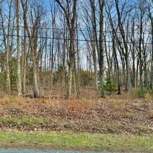 Photo #3 of Spring Street, Hurt, VA 0.9 acres