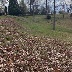 Photo #1 of 1 Gilfield, Forest, VA 1.2 acres