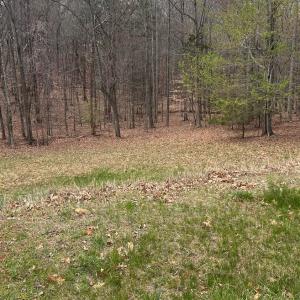 Photo #1 of 2 Gilfield, Forest, VA 1.1 acres