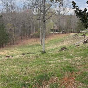 Photo #2 of 2 Gilfield, Forest, VA 1.1 acres