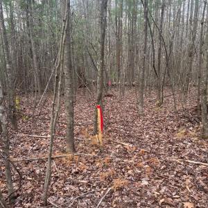 Photo #13 of Blue Ridge Lane, Monroe, VA 5.0 acres