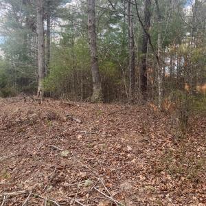 Photo #3 of Blue Ridge Lane, Monroe, VA 5.0 acres