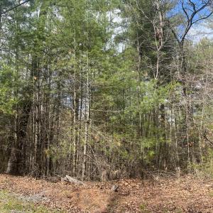 Photo #6 of Blue Ridge Lane, Monroe, VA 5.0 acres