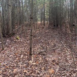 Photo #1 of Blue Ridge Lane, Monroe, VA 5.0 acres