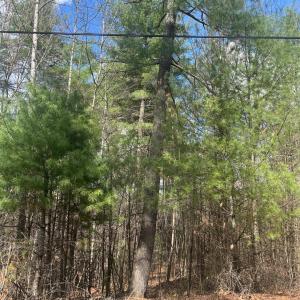 Photo #5 of Blue Ridge Lane, Monroe, VA 5.0 acres