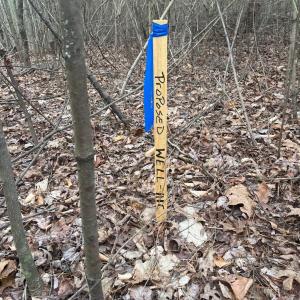 Photo #10 of Blue Ridge Lane, Monroe, VA 5.0 acres