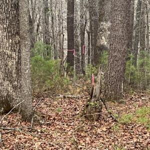 Photo #12 of Blue Ridge Lane, Monroe, VA 5.0 acres