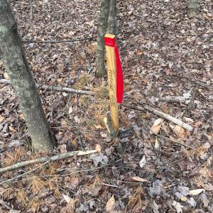 Photo #11 of Blue Ridge Lane, Monroe, VA 5.0 acres