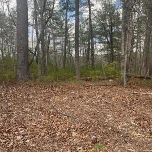 Photo #4 of Blue Ridge Lane, Monroe, VA 5.0 acres