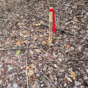 Photo #8 of Blue Ridge Lane, Monroe, VA 5.0 acres