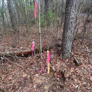 Photo #9 of Blue Ridge Lane, Monroe, VA 5.0 acres