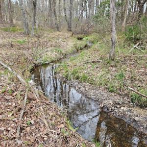 Photo #16 of James River Road, Buckingham, VA 83.8 acres