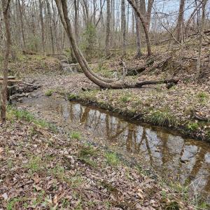 Photo #11 of James River Road, Buckingham, VA 83.8 acres