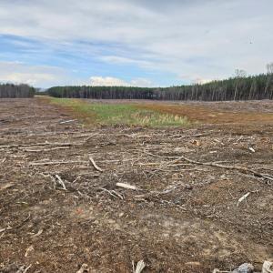 Photo #1 of James River Road, Buckingham, VA 83.8 acres