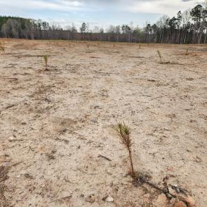 Photo #4 of James River Road, Buckingham, VA 83.8 acres