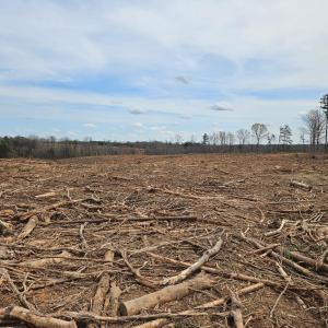 Photo #9 of James River Road, Buckingham, VA 83.8 acres