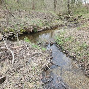 Photo #16 of James River Road, Buckingham, VA 83.8 acres