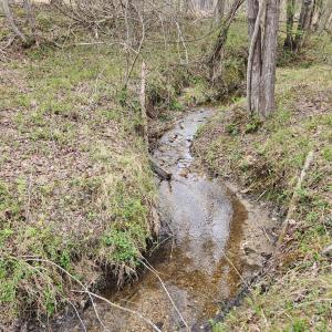 Photo #15 of James River Road, Buckingham, VA 83.8 acres