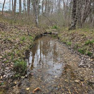 Photo #5 of James River Road, Buckingham, VA 83.8 acres