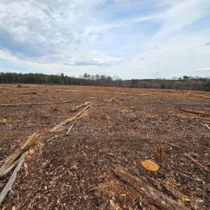 Photo #10 of James River Road, Buckingham, VA 83.8 acres