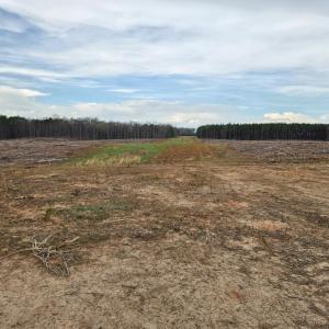 Photo #22 of James River Road, Buckingham, VA 83.8 acres