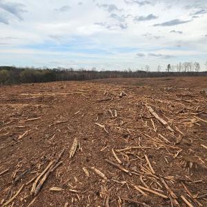 Photo #19 of James River Road, Buckingham, VA 83.8 acres