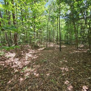 Photo #32 of James Anderson Highway, Gladstone, VA 100.0 acres